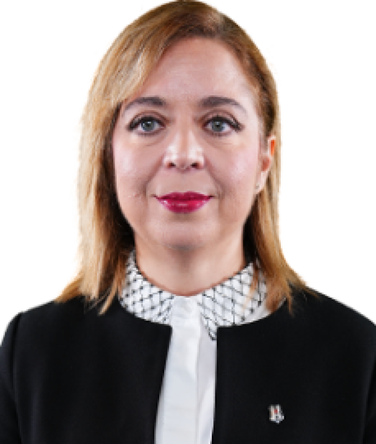 Prof. Dr. Ateş Bayazıt